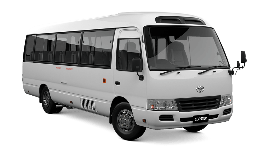 white bus white bus